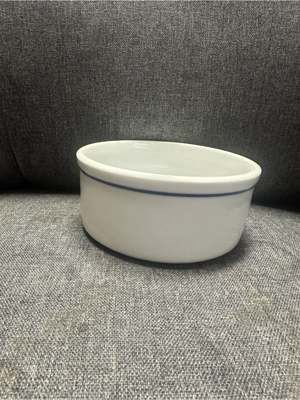 Vintage Ceramic H2O Dog Water Bowl